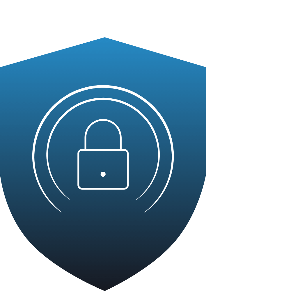 Cybersecurity Services​ Icon