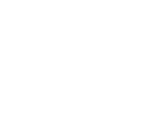 Pega Partner Icon