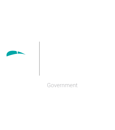 Pega Specialized Partner - Government