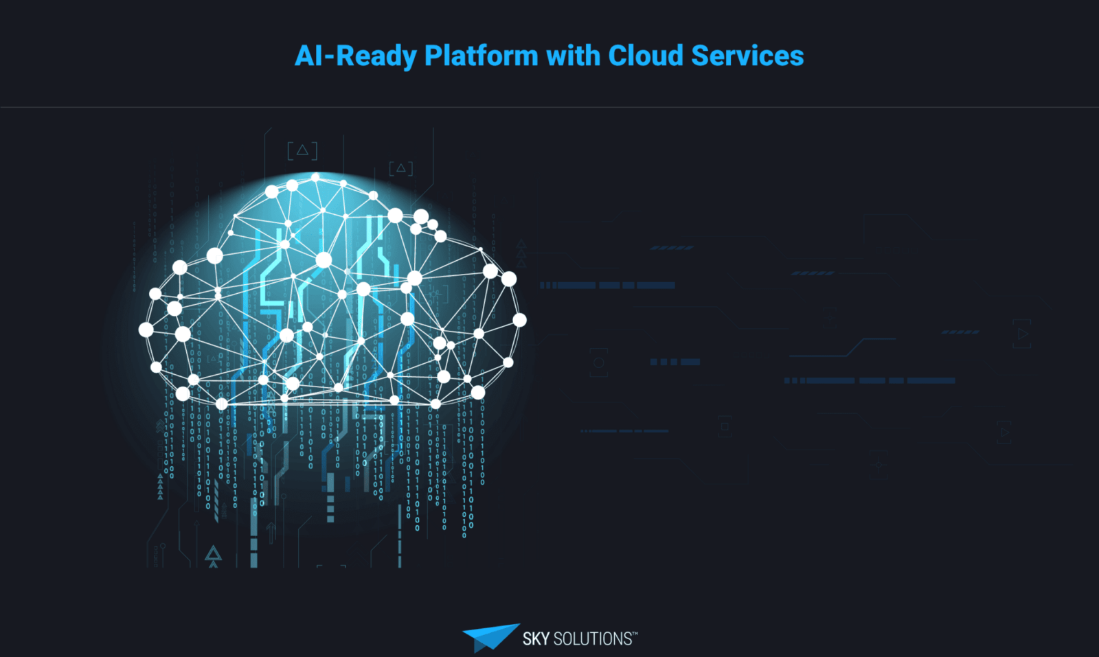 Enterprise Data Management and​ Platform Enablement​