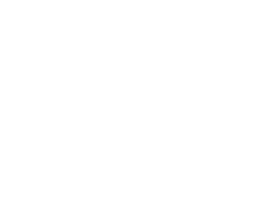 Pega logo